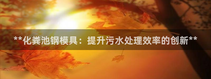 太阳集团游戏城：**化粪池钢模具：提升污水处理效率的创新**