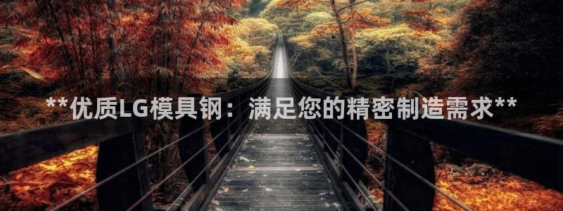 太阳成娱乐集团：**优质LG模具钢：满足您的精密制造需求**