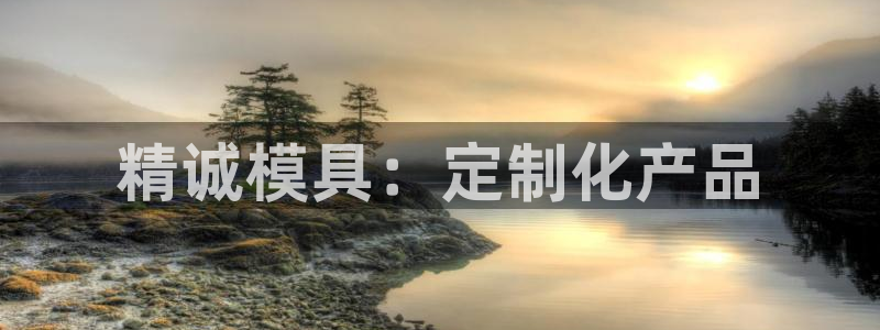 太阳集团游戏官方网址老字号：精诚模具：定制化产品