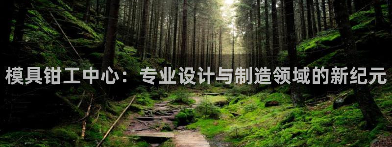 太阳集团备用网址：模具钳工中心：专业设计与制造领域的新纪元