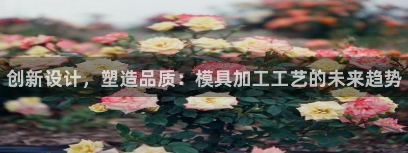 太阳集团游戏App：创新设计，塑造品质：模具加工工艺的未来趋势