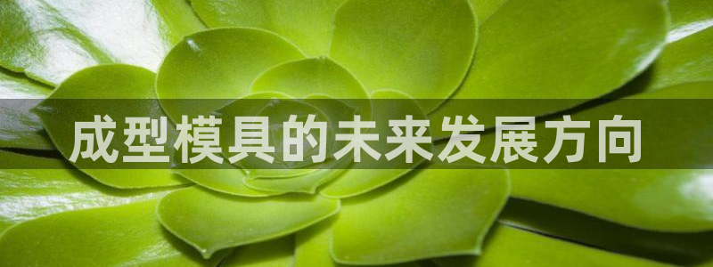 太阳集团城入口：成型模具的未来发展方向