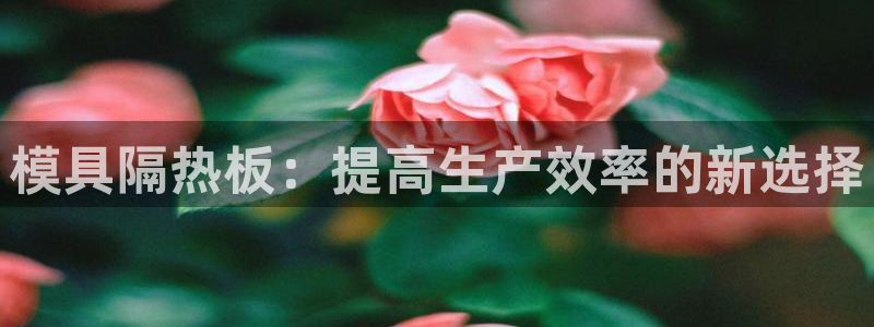 太阳集团网站官网：模具隔热板：提高生产效率的新选择