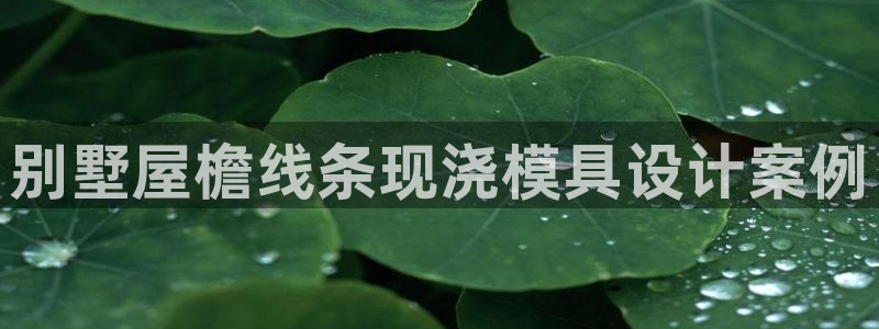 太阳gg官网登录：别墅屋檐线条现浇模具设计案例