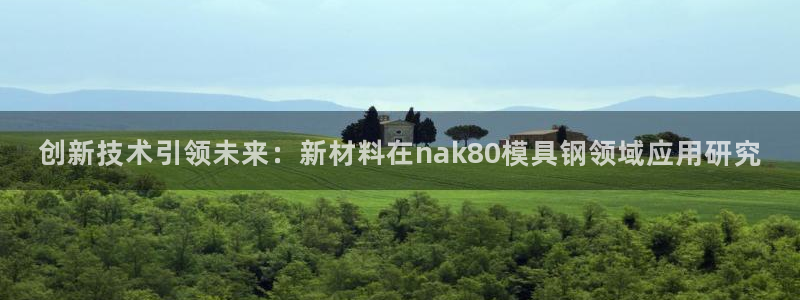 太阳游戏成语：创新技术引领未来：新材料在nak80模具钢领域应用研究