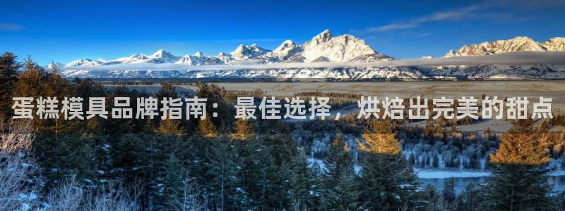 曲靖红太阳集团：蛋糕模具品牌指南：最佳选择，烘焙出完美的甜点
