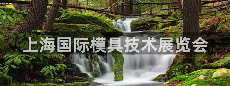 太阳成集团的官方网站：上海国际模具技术展览会