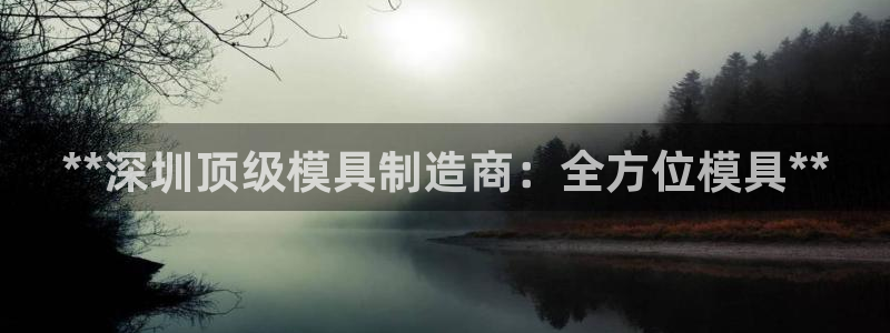 15vip太阳成集团：**深圳顶级模具制造商：全方位模具**