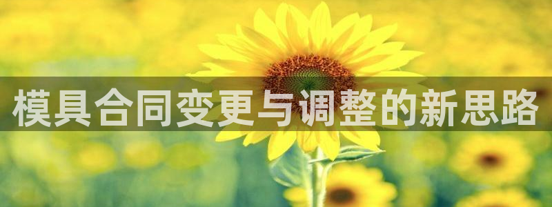 太阳老板身价：模具合同变更与调整的新思路
