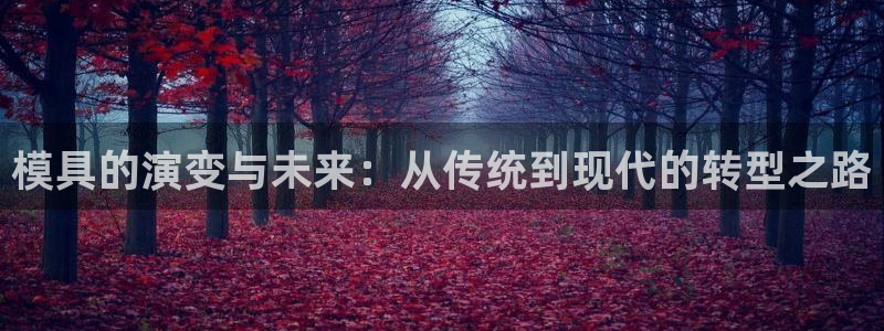 太阳集团城官方app下载苹果：模具的演变与未来：从传统到现代的转型之路