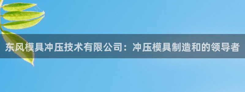 太阳集团城官方app下载苹果：东风模具冲压技术有限公司：冲压模具制造和的领导者
