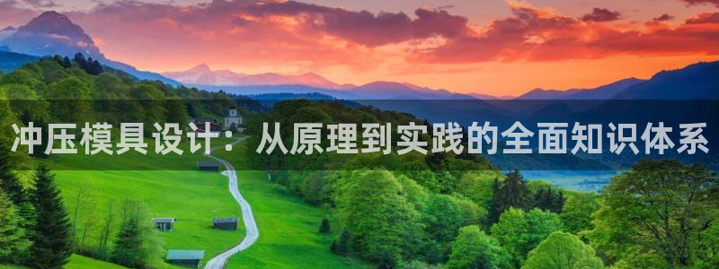 太阳诚集团有限公司是国企吗：冲压模具设计：从原理到实践的全面知识体系