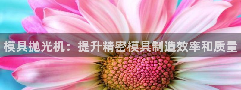 太阳集团网站古天乐：模具抛光机：提升精密模具制造效率和质量
