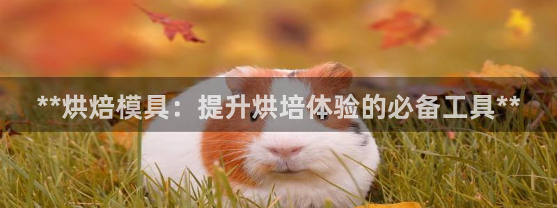 太阳集团城网站2017：**烘焙模具：提升烘培体验的必备工具**