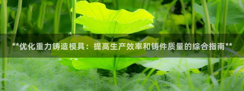 太阳集团是一家什么公司：**优化重力铸造模具：提高生产效率和铸件质量的综合指南**