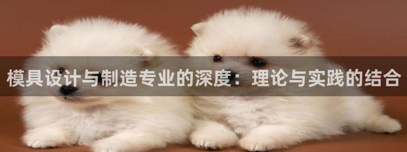 太阳集团城2017网站：模具设计与制造专业的深度：理论与实践的结合