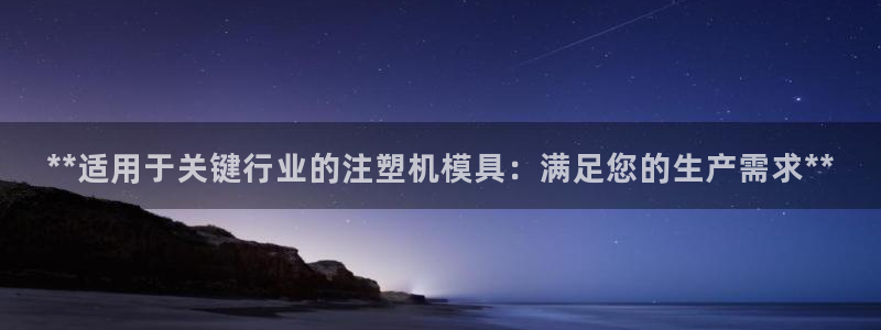太阳控股集团有限公司董事长：**适用于关键行业的注塑机模具：满足您的生产需求**