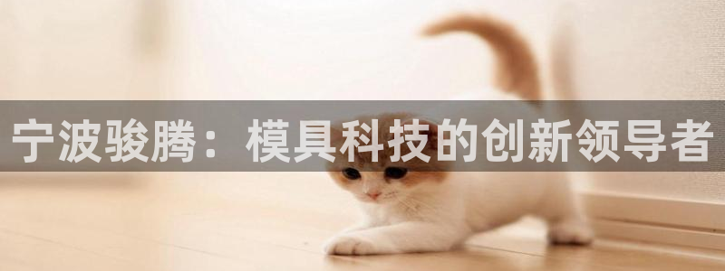太阳集团游戏官方网址8827：宁波骏腾：模具科技的创新领导者