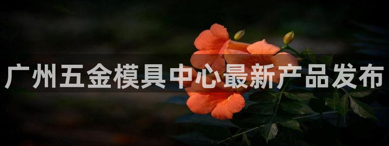 太阳成集团lougo图片：广州五金模具中心最新产品发布