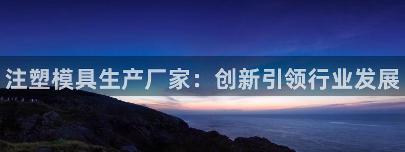 太阳集团网站多少：注塑模具生产厂家：创新引领行业发展