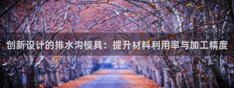 太阳集团城网官方入口：创新设计的排水沟模具：提升材料利用率与加工精度