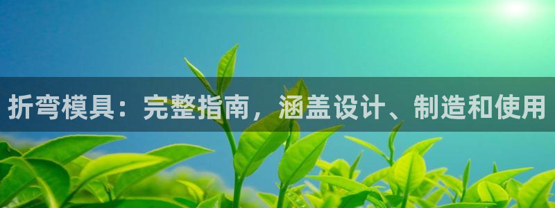 太阳集团城娱：折弯模具：完整指南，涵盖设计、制造和使用