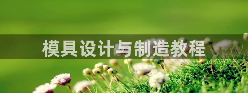 太阳成集团tyc7111cc下载手机版：模具设计与制造教程