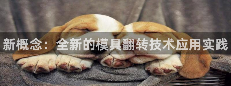 太阳老板身价：新概念：全新的模具翻转技术应用实践