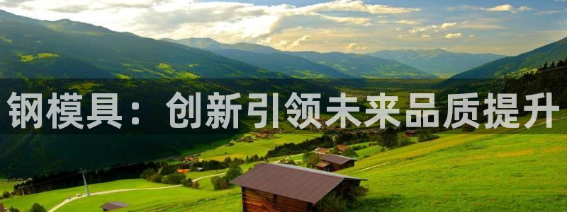 太阳集团城网2018：钢模具：创新引领未来品质提升