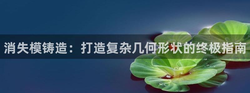 太阳gg在线测速登录：消失模铸造：打造复杂几何形状的终极指南