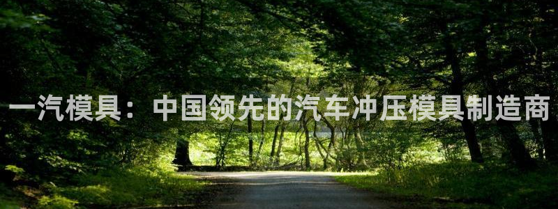 太阳集团电子游戏老板：一汽模具：中国领先的汽车冲压模具制造商