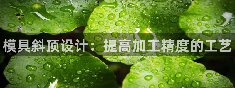 太阳成集团tyc234cc[主页]网址：模具斜顶设计：提高加工精度的工艺