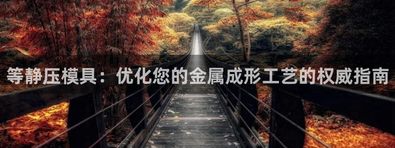 太阳集团游戏软件：等静压模具：优化您的金属成形工艺的权威指南