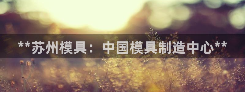 太阳集团网站入口官网网址：**苏州模具：中国模具制造中心**