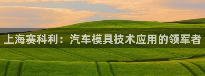 太阳成集团tyc122cc客服：上海赛科利：汽车模具技术应用的领军者