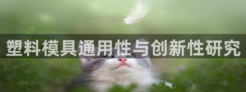 古天乐太阳网城：塑料模具通用性与创新性研究