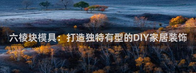 太阳成集团tyc234cc福利：六棱块模具：打造独特有型的DIY家居装饰