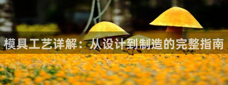 澳门太阳成城集团洗米华：模具工艺详解：从设计到制造的完整指南
