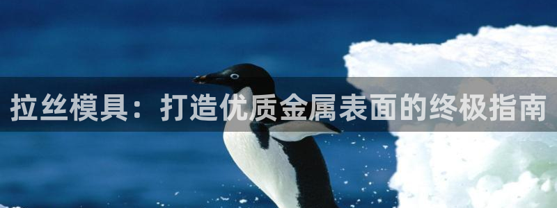 太阳集团城网址娱网：拉丝模具：打造优质金属表面的终极指南