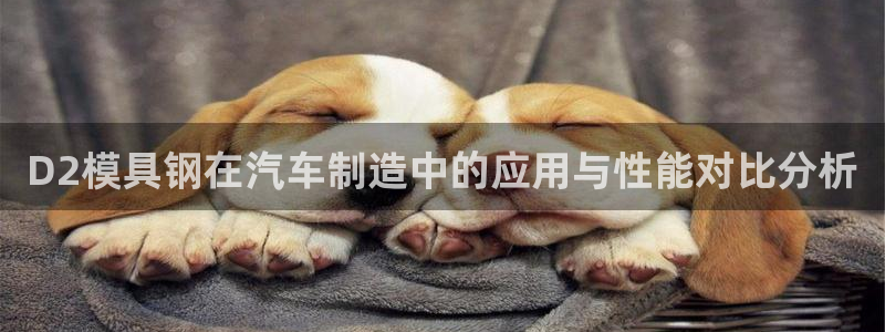 太阳集团洗米华菲律宾：D2模具钢在汽车制造中的应用与性能对比分析