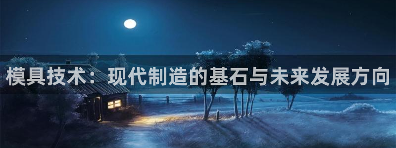 太阳2平台网站：模具技术：现代制造的基石与未来发展方向