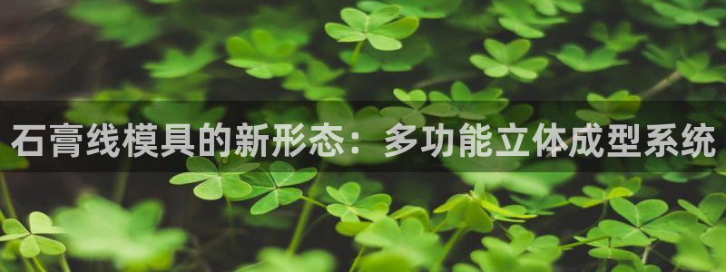 太阳成集团游戏合集：石膏线模具的新形态：多功能立体成型系统