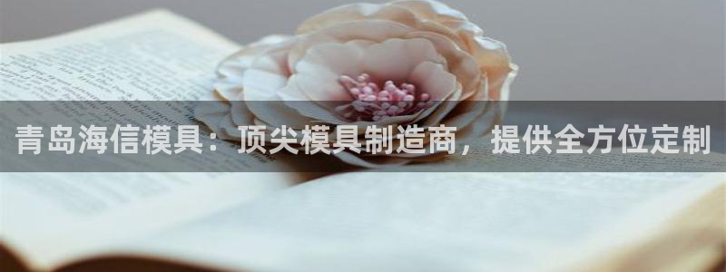 太阳成集团控股买购网：青岛海信模具：顶尖模具制造商，提供全方位定制