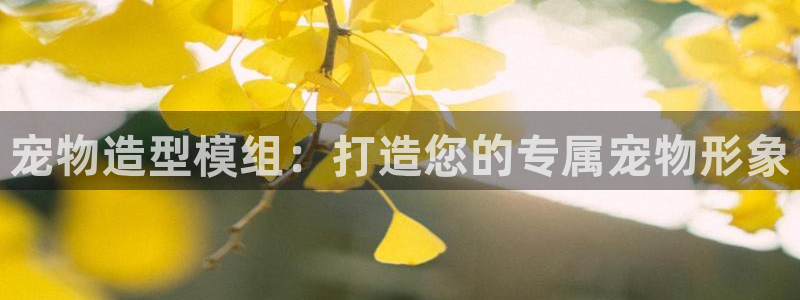太阳集团在中国合法吗：宠物造型模组：打造您的专属宠物形象