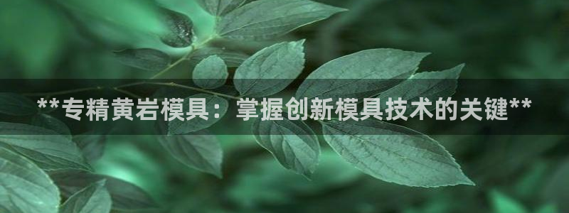 太阳集团股份有限公司招聘：**专精黄岩模具：掌握创新模具技术的关键**
