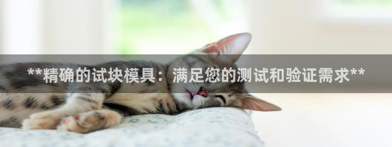 太阳成集团tyc3345：**精确的试块模具：满足您的测试和验证需求**