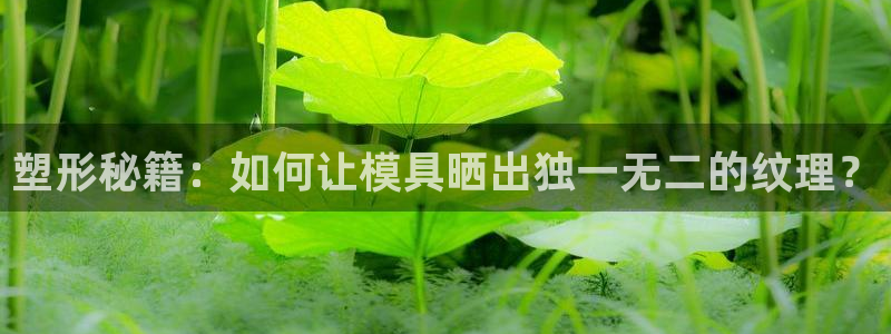 太阳集团官网导航首页：塑形秘籍：如何让模具晒出独一无二的纹理？
