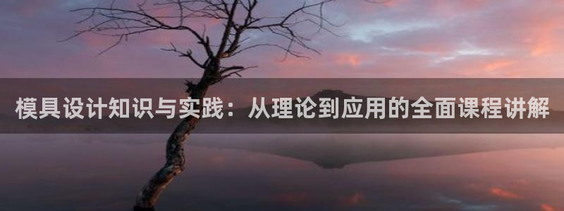 太阳集团的老总是谁：模具设计知识与实践：从理论到应用的全面课程讲解