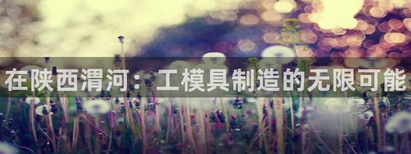 太阳商城贵宾会