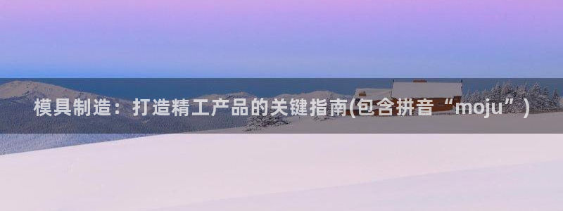 太阳诚集团有限公司是国企吗还是央企：模具制造：打造精工产品的关键指南(包含拼音“moju”)